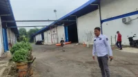 Jitang